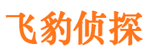 成武市侦探调查公司